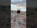صب المر ان كان المر طاب Wildlife اكسبلور ليبيا مصر صب المر ان كان المر طاب Wildlife اكسبلور ليبيا مصر