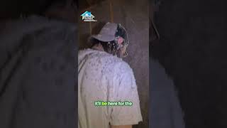 Spray vs Dense Pack Insulation (BIG Difference)!