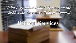 ヒューマンサービス-2022年ニューヨーク州予算