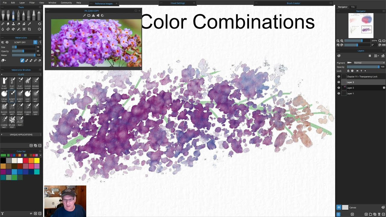 Rebelle 5 & Rebelle 6 Version - Controlling The Paint