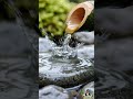 Bamboo & Stone ASMR: Rhythmic Wet Strikes for Deep Focus & Mindfulness