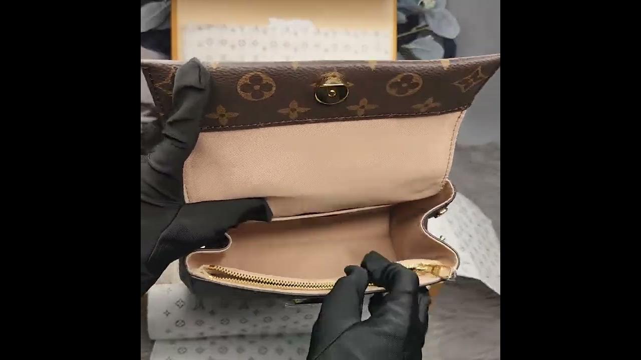 Elegance Redefined: Louis Vuitton Monogram Reverse Epi Pochette