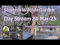 Day Stream March 24th 2023 | Bird Feeders, Wildlife Cameras Scotland UK from SWG