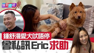 屈臣氏 Wats Petmacy 寵物藥妝呈獻：煉狗術師III｜ 鍾舒漫 愛犬吠唔停 曾私訊 Eric 求助 ｜ Eric Ko ｜ 鄺芷凡 ｜ 混種狗 ｜ 鍾舒漫 ｜第8集｜HOY｜HOYTV
