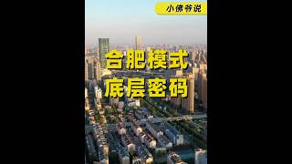 「合肥模式」的底层密码是什么？ #合肥#长鑫存储#京东方#燃起来了大国重器#真财实学计划