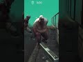 “1 Shot में Zombie Down 😱 | Most Satisfying Zombie Kill #shorts”