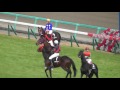 2016 イルミネーションジャンプステークス 本馬場入場 現地映像 タイセイドリーム