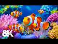 Relaxing Aquarium 8K ULTRA HD — Stunning Tropical Fish and Coral Reefs