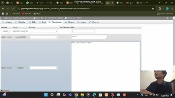 Tutorial Hosting Wordpress Gratis ( InfinityFree, FileZilla, & Softaculous - Lengkap Tema dan SSL )