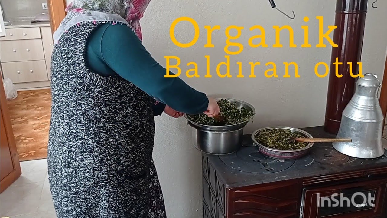 doğal ot baldıran kavurması baldıran bilen varmı nefis oldu #dogalot #organikyaşam