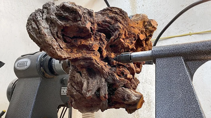 This Came Out of the Ground!