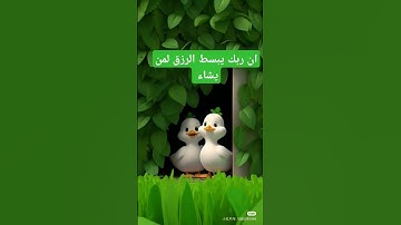 إن ربك يبسط الرزق لمن يشاء #القارئ #محمد #قران_كريم #اكسبلور #القزابري #تيك_توك #دويتو #الرحمن