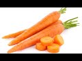 HEALTHY CARROT PARATHA
