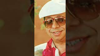 Ek Ajnabee Hasina Se  Ajnabee   Instrumental  Hawaiian Guitar 