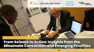 From Science to Action: Insights from the Minamata Convention and Emerging Priorities