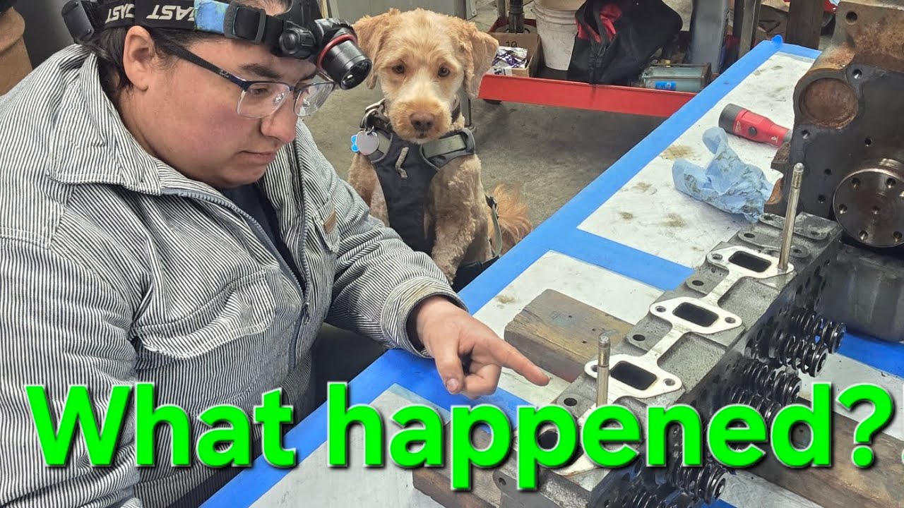 ⁣Yanmar Autopsy: Fuel killed this marine diesel?