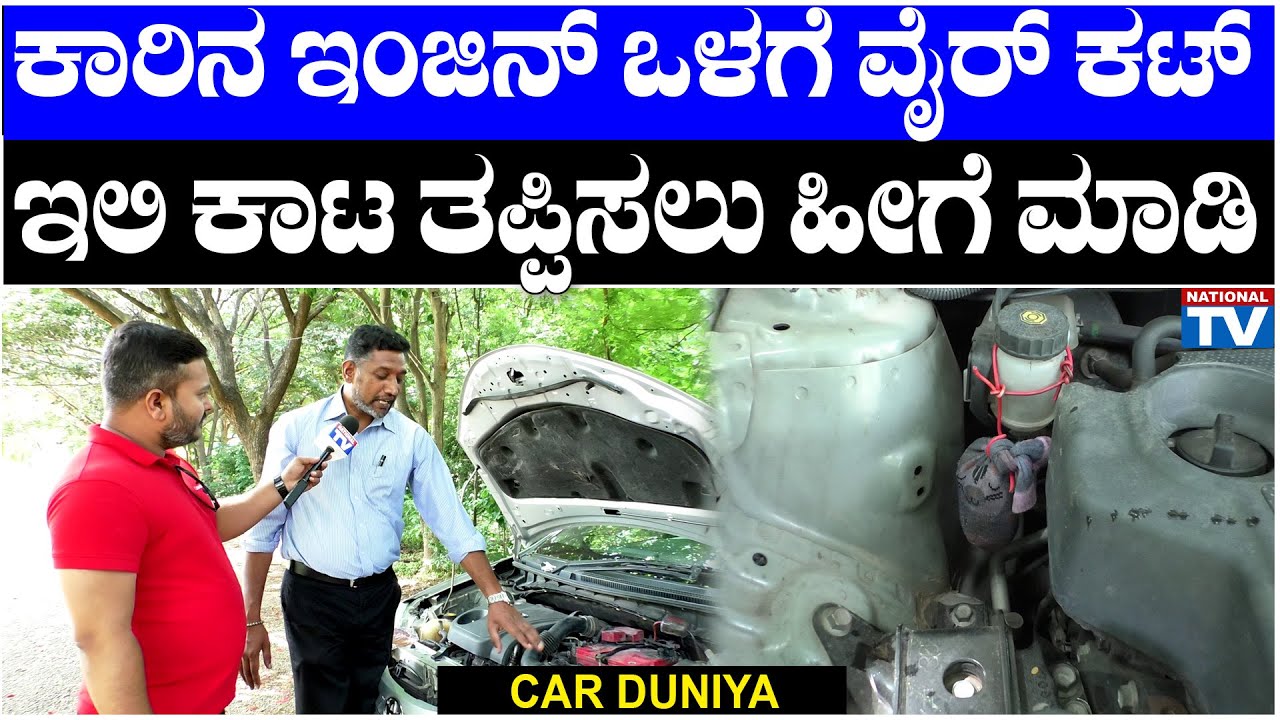 Car Duniya : ಕಾರಿನ ಇಂಜಿನ್ ಒಳಗೆ ವೈರ್ ಕಟ್, ಇಲಿ ಕಾಟ ತಪ್ಪಿಸಲು ಹೀಗೆ ಮಾಡಿ | National TV