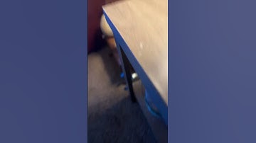 How to fast forward in slow Mo your videos