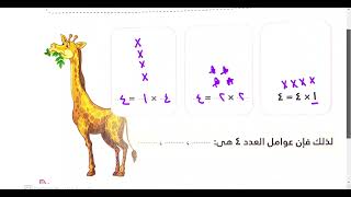 رياضة تالتة ابتدائى _ درس ٢٥_  العوامل_ كتاب الاضواء _ المنهج الجديد