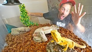 BUILDING MY LIZARD HIS DREAM CAGE! (DIY)