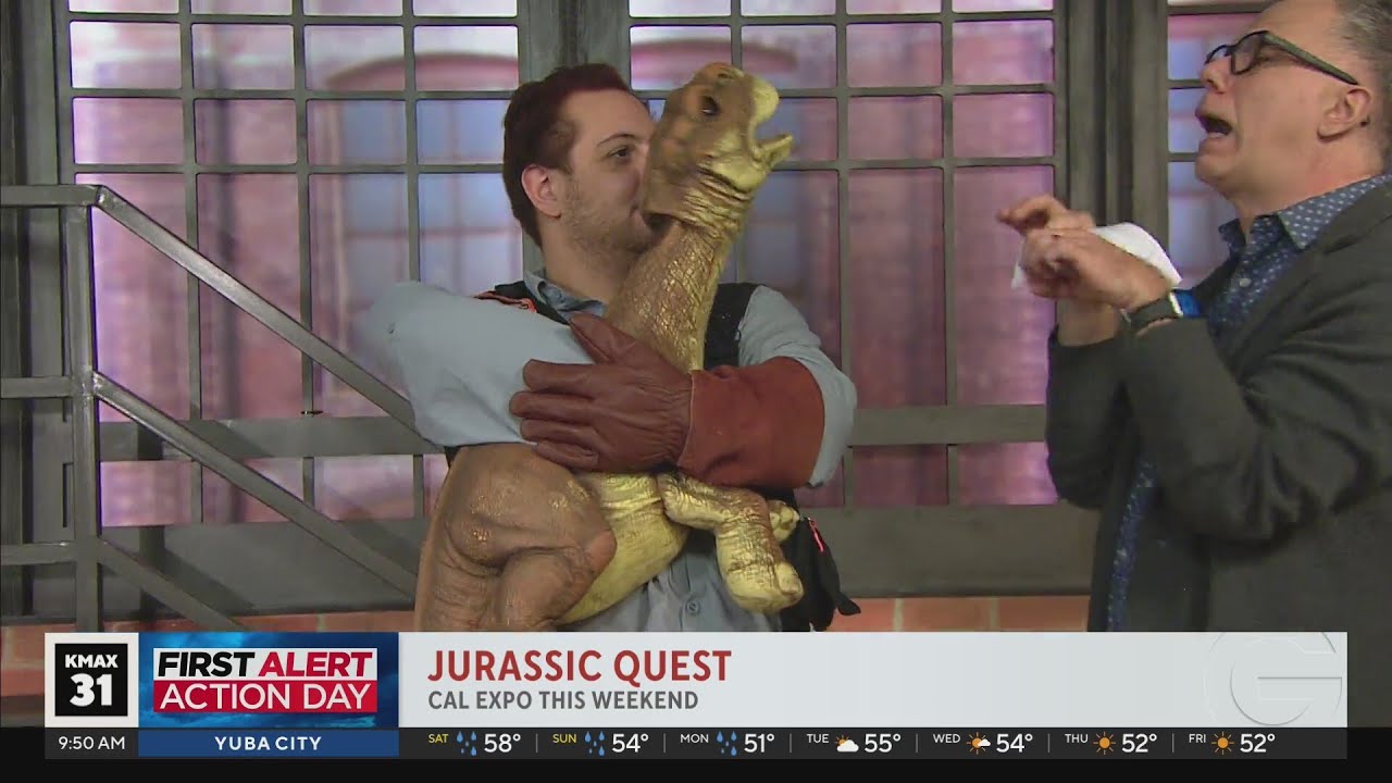 Dinosaurs in Studio!