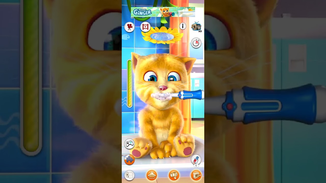 Konuşan ginger oynuyorum