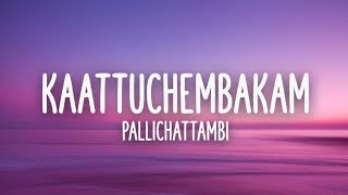 Kaattuchembakam - Jakes Bejoy, Vishal Mishra, Aavani Malhar | Lyrics |  Pallichattambi | 