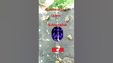 #القران_الكريم #تلاوه_خاشعه #قال رب انیی ظلمت نفسی #duet #المصحف #foryou