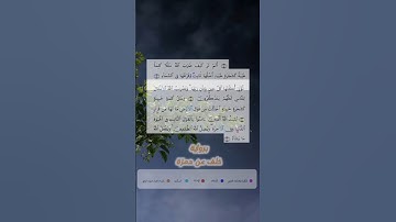 تلاوة مباركة من سورة إبراهيم ✅️  برواية خلف عن حمزة 🏵 #محمد_بكير