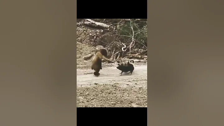 PREDATOR VS PREY #animals #wildlife thumbnail