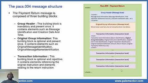 Pacs.004 normal return message in the SEPA Credit Transfer Schemes
