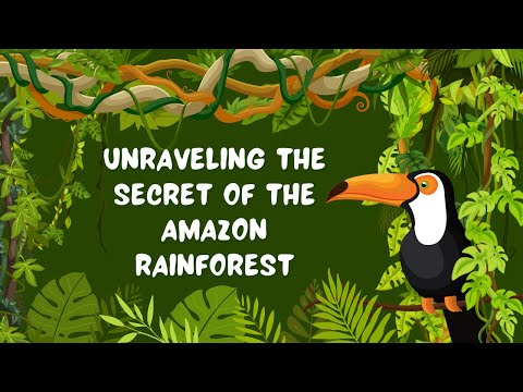 Unraveling The Secret Of The AMAZON RAINFOREST | Real Brazil