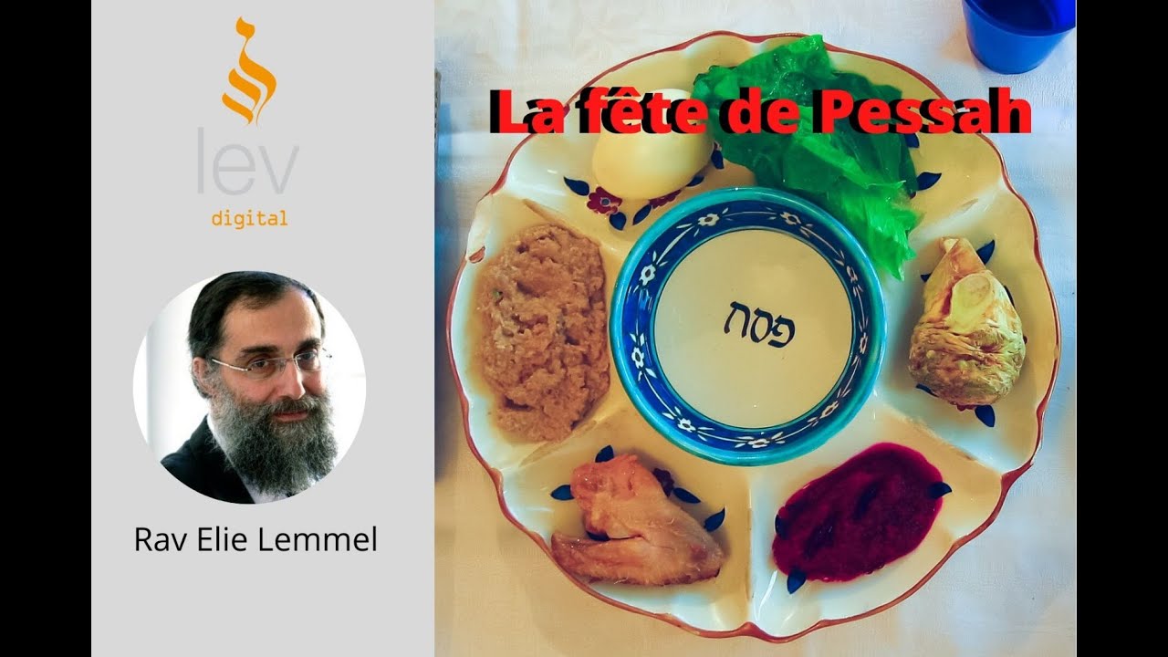 Explication sur la Hagadda de Pessah' - Partie 1 -  Rav Elie Lemmel