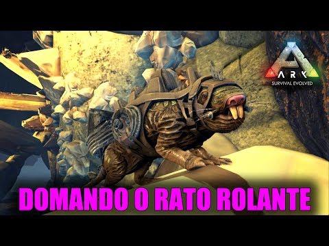 Vídeo: Como Domar Um Rato