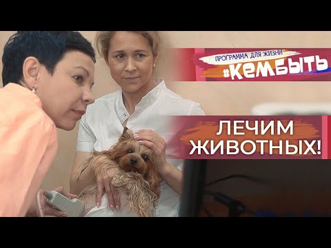 Видео: Исследование: опыт вашей собаки дает ему знать, если вы хороший человек