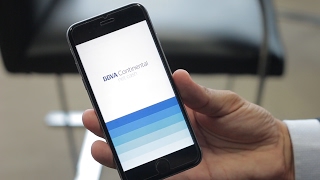 Explicación De Net Cash