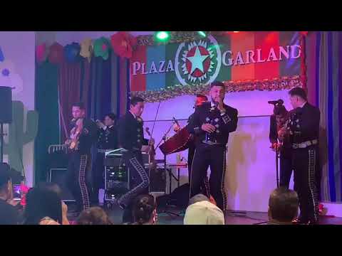 Vas a querer regresar / Cover / Christian nodal / mariachi fiesta / Balta show / info 469-230-8360