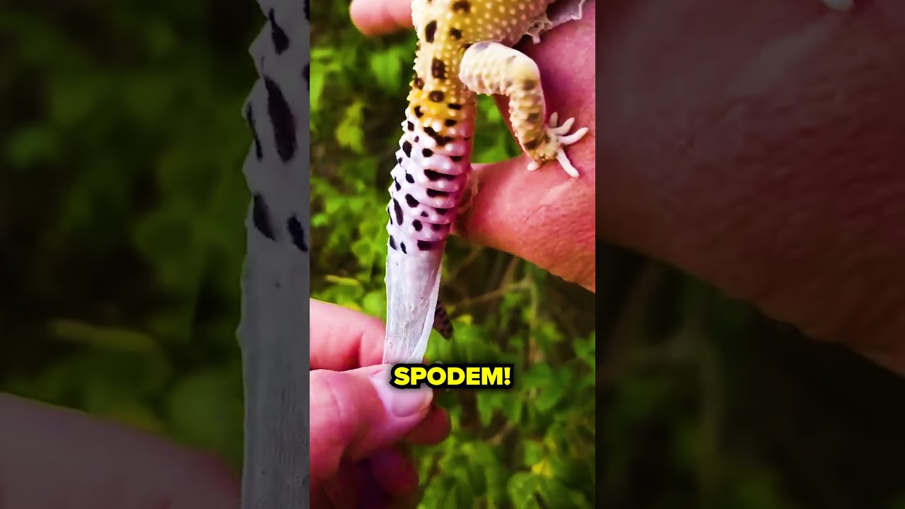 NIGDY MU NIE POMAGAJ!!!😳