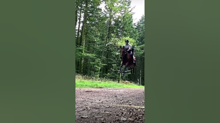 She jumped over an invisible jump 😂 #invisible #horses #jump #equestrianlife #fyp #shorts #viral