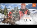 Meateater season 12  montana elk