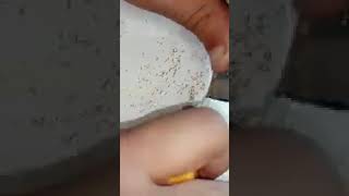 Extracting Gold from computer parts :CPU Gold Recovery