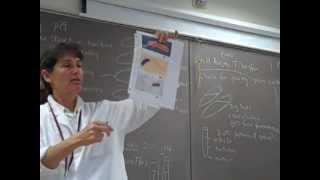 Ch. 9 Motility