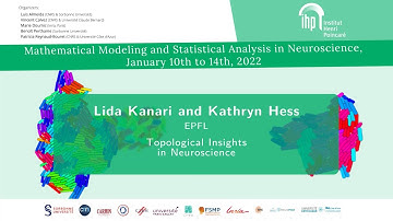 Topological insights in Neuroscience
