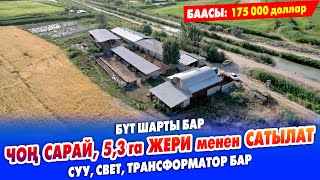 видео: Чоң САРАЙ, 5,30 гектар айдоо ЖЕРИ менен САТЫЛАТ ~ Үй, суу, свет, трансформатор, кызыл, көк китеп бар картинка: Чоң САРАЙ, 5,30 гектар айдоо ЖЕРИ менен САТЫЛАТ ~ Үй, суу, свет, трансформатор, кызыл, көк китеп бар