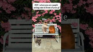 CAT MEMES 🐱 when you're caught acting cute in front of your gf #catmemes #memes #funnymemes #funny