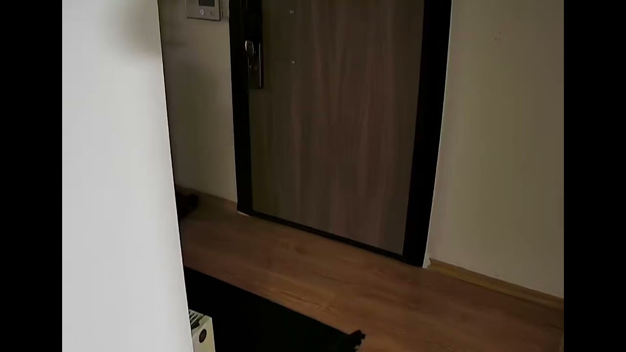 Güllü'nün Ölümüne Dair Kamera Görüntülerinin Tamamı Ortaya Çıktı