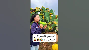 مش هتصدق الصينيين بياكلوا التين الشوكي ازاى شوف بنفسك 