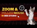Make OBS Zoom and Follow Mouse cursor | OBS Zoom to Mouse Plugin
