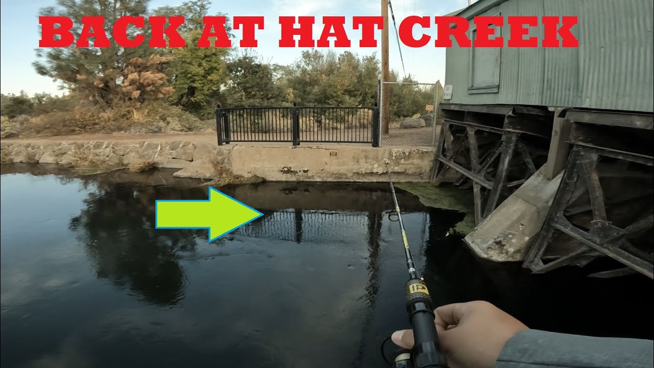 HAT CREEK FISHING IS ALWAYS A FUN TIME (Perfect Place for all ages to