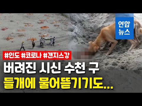 들개가 무덤 파헤치는 &amp;#39;생지옥&amp;#39; 인도…<strong>참상</strong> 언제까지 / 연합뉴스 (Yonhapnews)